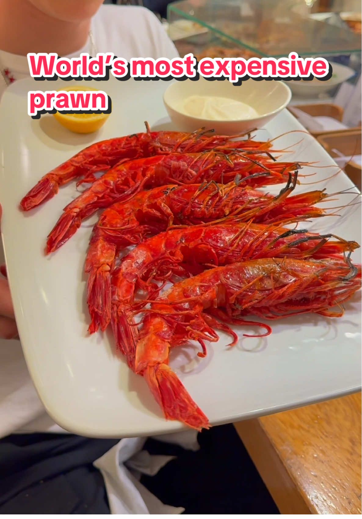 Trying the famous €45 jumbo prawns at Anthony Bourdain’s favorite restaurant in San Sebastián  📍Ganbara, San Sebastián  #spain #prawn #shrimp #sansebastianfood #sansebastian #anthonybourdain #bourdain #spanishfood #pinchos 