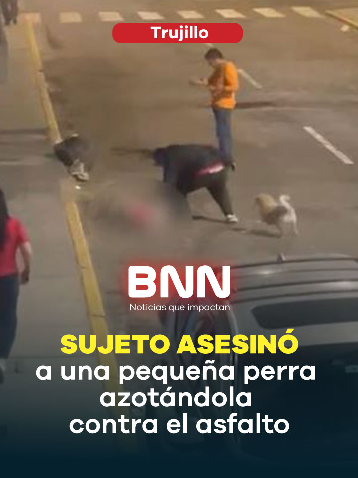 Indignación en Trujillo: hombre mató a una pequeña perra azotándola contra el asfalto #trujillo #asesinatodemascotaentrujillo #asesinanaperitaentrujillo #luislozanodaza #bnnnoticiasperu #noticiasperú🇵🇪🗞