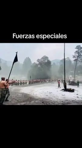 Fuerzas Especiales #mexico #fuerzasespeciales #gafe #militar #todopormexico #cursobasico #comando 