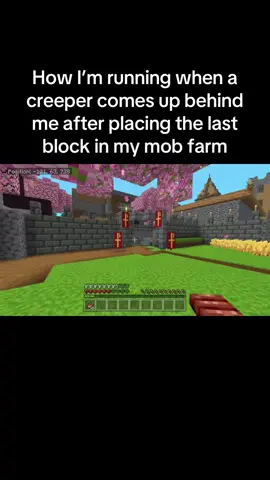 RELEASE THE BABY🗣️🗣️🗣️🔥#Minecraft #thesmallvillageofchinatown #fyp #funny #croods #thecroods #meme 