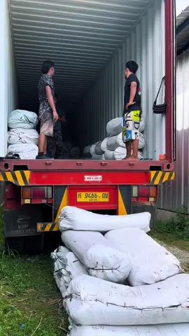 Di balik setiap ikatan sapu lidi ini, ada keringat, harapan, dan doa dari desa kecil di Pangandaran. Kami mungkin tak dikenal dunia, tapi kami kirimkan hasil kerja keras kami melintasi lautan. Bukan soal besar atau kecil, tapi soal niat dan ketulusan. #SapuLidi  #KaryaAnakDesa  #UMKMIndonesia  #Pangandaran  #AnekaLidi  #lidikelapapangandaran  #bisaexport  #lidikelapa 