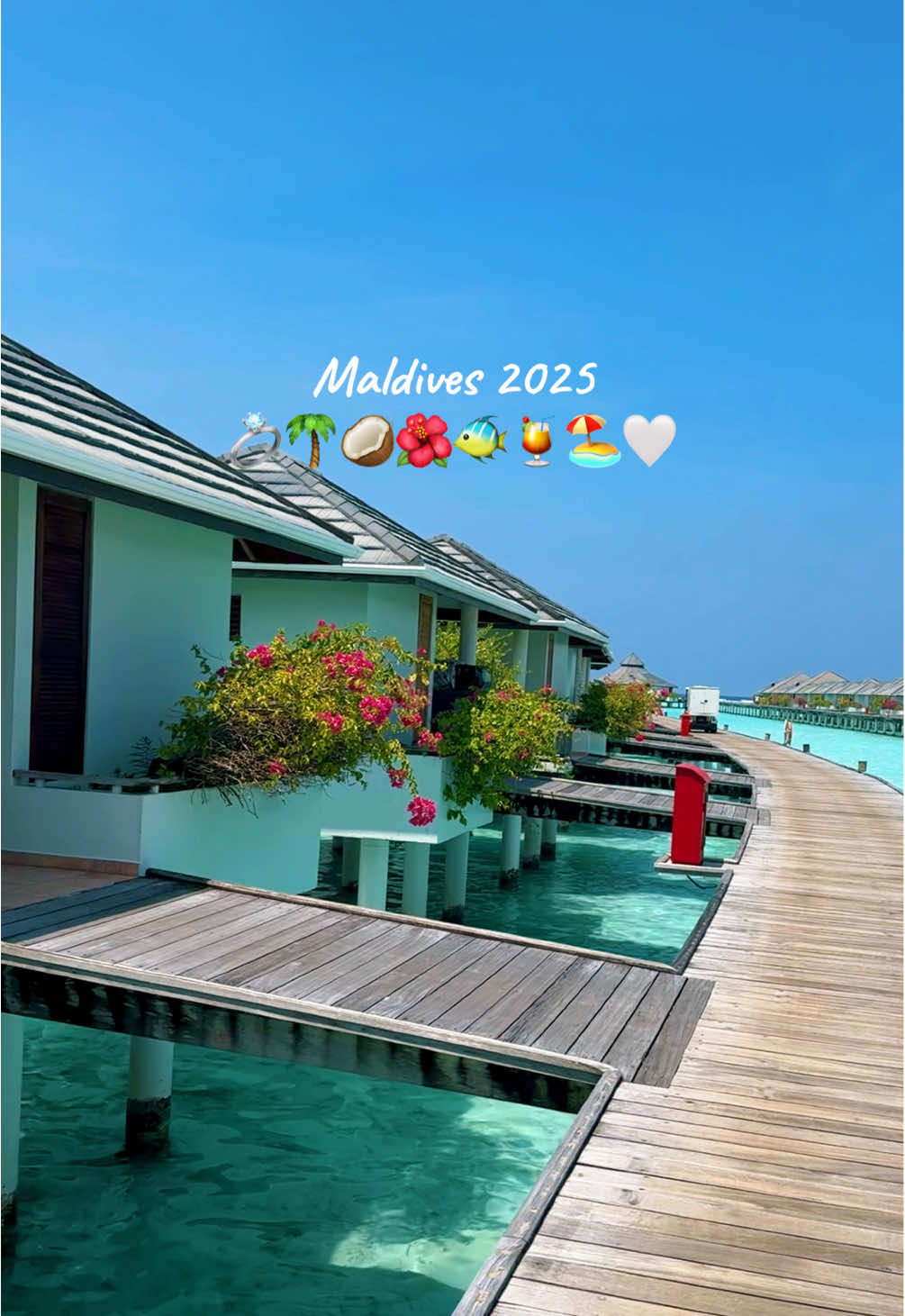 Most magical honeymoon 🥰🥹 #maldives #honeymoon #islandvibes #traveltiktok #couplestiktok #fyp 