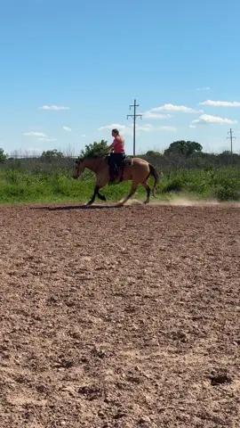 #beautifulhorses #horsesoftiktok #ranchtrailer #ranchhorse #buckskin 