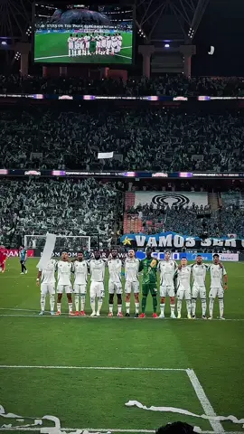 ' #ahli #alahli #سفير_الوطن🤍💚 #CapCut 