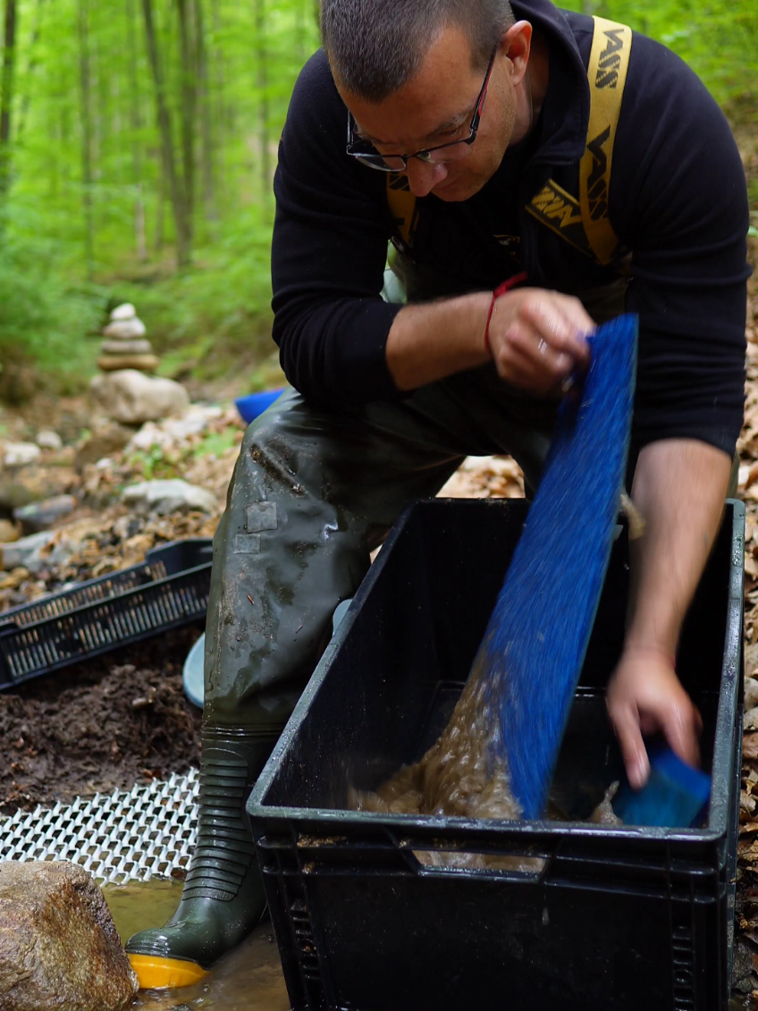 Real Gold Found! Panning in a Mountain Stream Surrounded by Nature #GoldPanning #GoldDiggerSK #NatureLovers #ViralTikTok #GoldProspecting #GoldHunting #goldpanningadventure #tiktokgoldrush #RealGold 