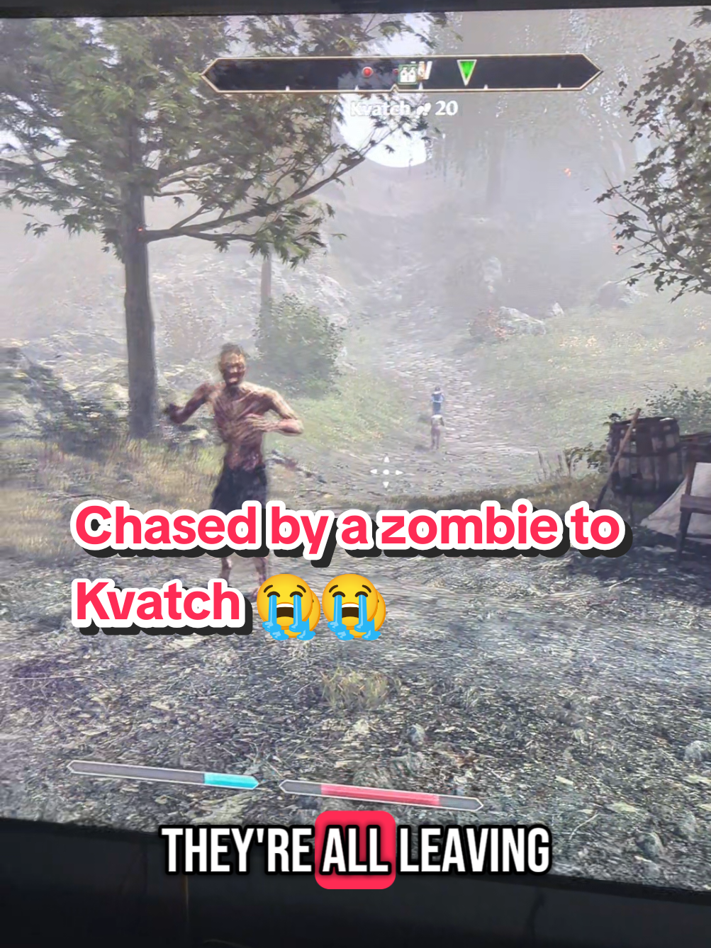 Replying to @fartbubbles5 can't believe this is how I found out what's happening in Kvatch 😭😭 #oblivion #elderscrolls #elderscrollsoblivion 
