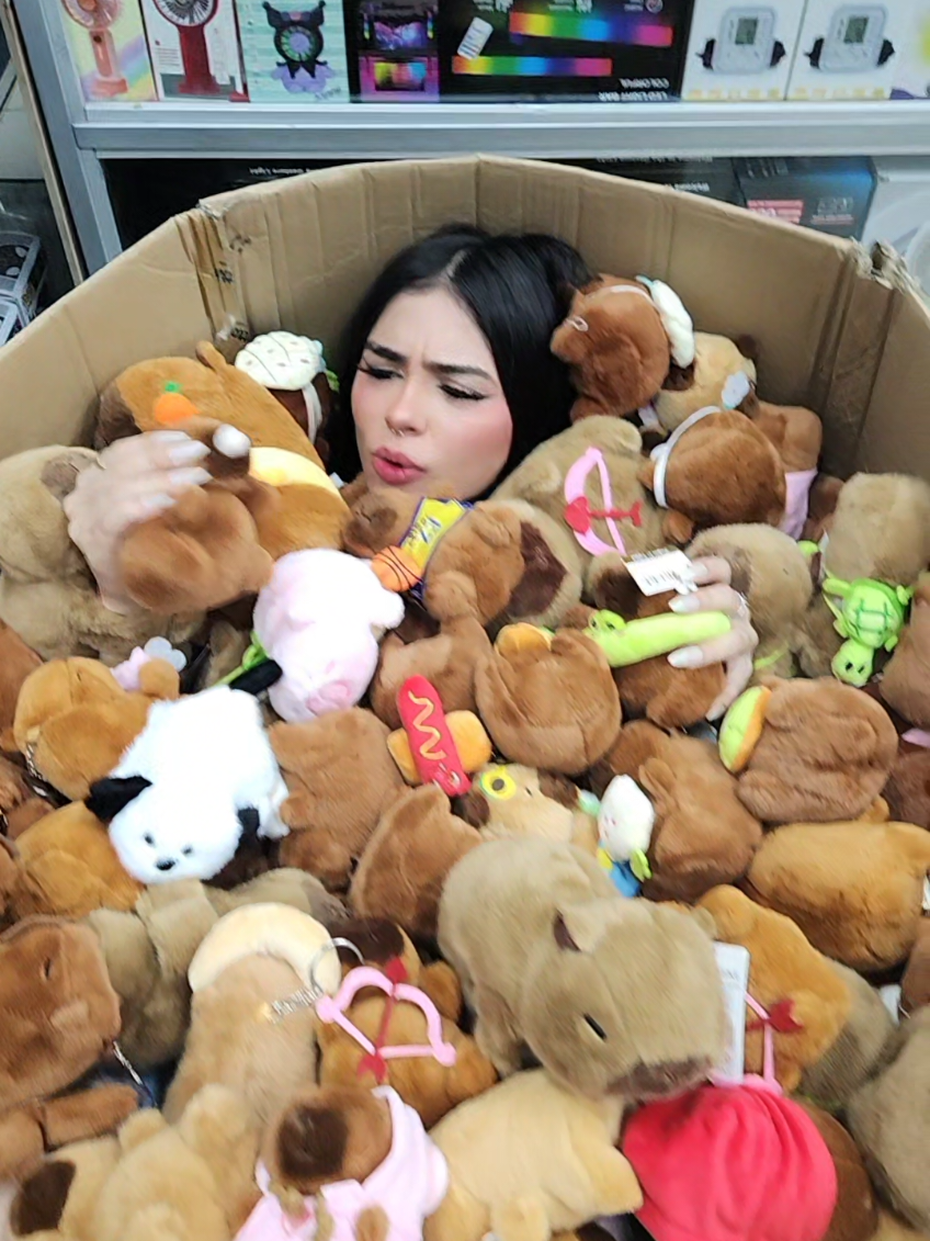 #capibara #peluche #ofertasbolaños #heredia #economico #OFERTA #ofertas #promocion #promociones #fyp #paratiiiiiiiiiiiiiiiiiiiiiiiiiiiiiii 