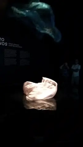 obra:quatro oceanos do museu do amanhã RJ onde duas alma gêmeas  estão destinadas a se encontrarem,mas não a ficarem juntas... sente só a reflexão e a provocação desta obra, a profundidade que ela tem, por meio de dois simples lençóis ao vento... Uma simples obra mas com um significado imenso por trás  aprecie pois isso é ARTE