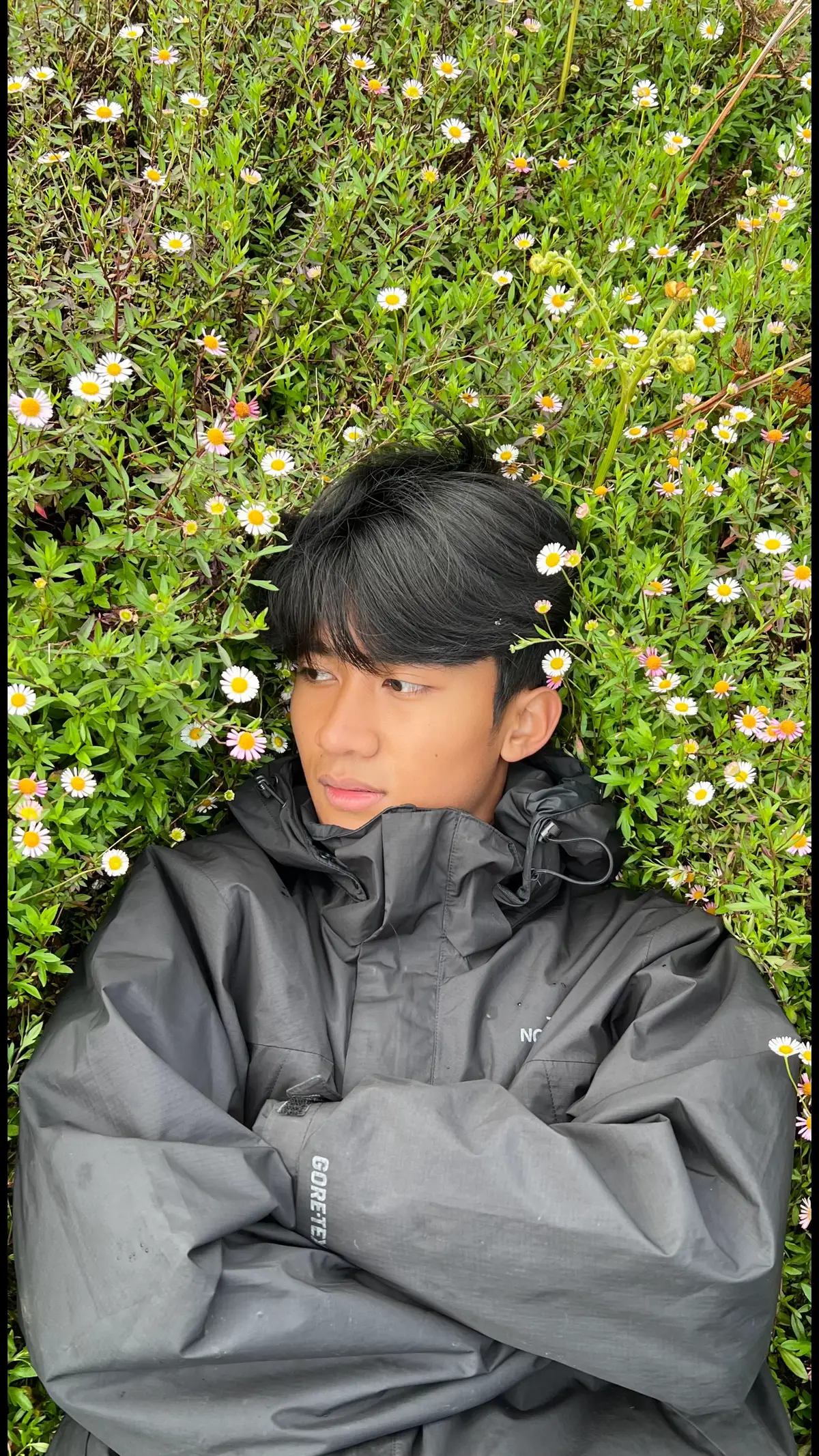 gapapa sendiri dulu…#fyp #prau #daisy #pendakigunung #4u 