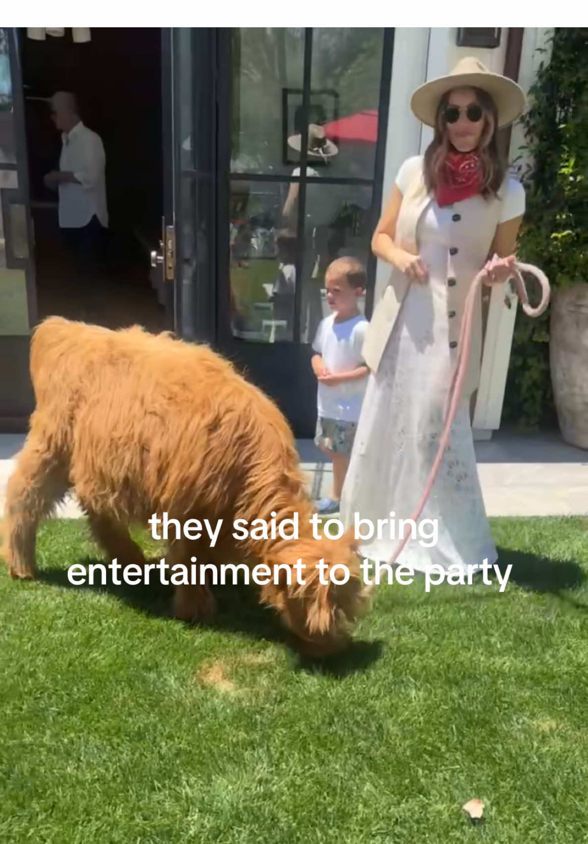 who isn’t entertained by furry cows #fyp #foryoupage #foryouu 