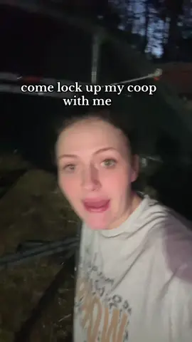 no survival instincts i tell ya #chickencoop 