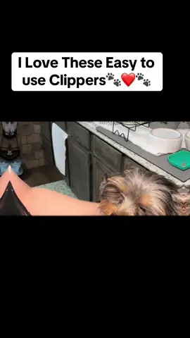 These are my favorite clippers for eyes, paws and bottoms 🐾 they are quiet and easy to use❤️ I love using them on my Yorkies of all ages🥰#yorkies #lovemydogs🐕🐾 #texasyorkies #yorkiemomlife #loveyorkies🐾❤️🐾❤️ #groomer #groomersoftiktok #clippers #