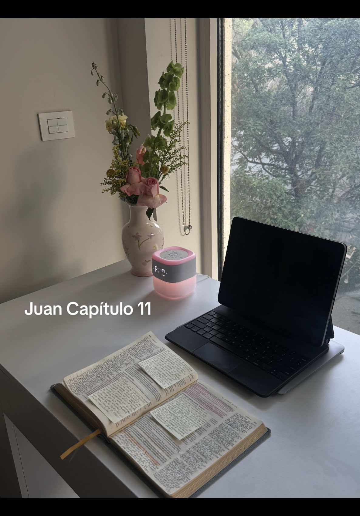 Juan Capítulo 11 #estudiobiblico 