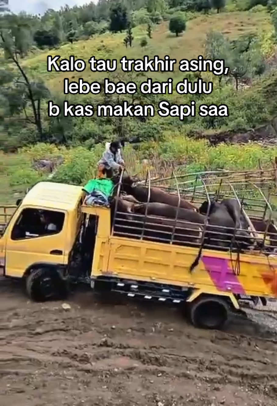 Ko krmna? 🤣😭 #fypシ゚ #fypシ #nttpride🏝🔥 #karyamutis #drivermuda #sapi 