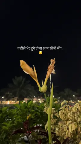 आमा❤️‍🩹🫂#fyp #jibankc #foryoupage #viral 