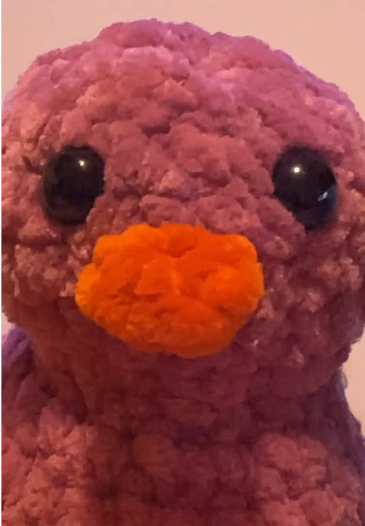 #ducks #crochet #fyp #ha #screamitout @Em created these beautiful ducks 😍 #bestie 