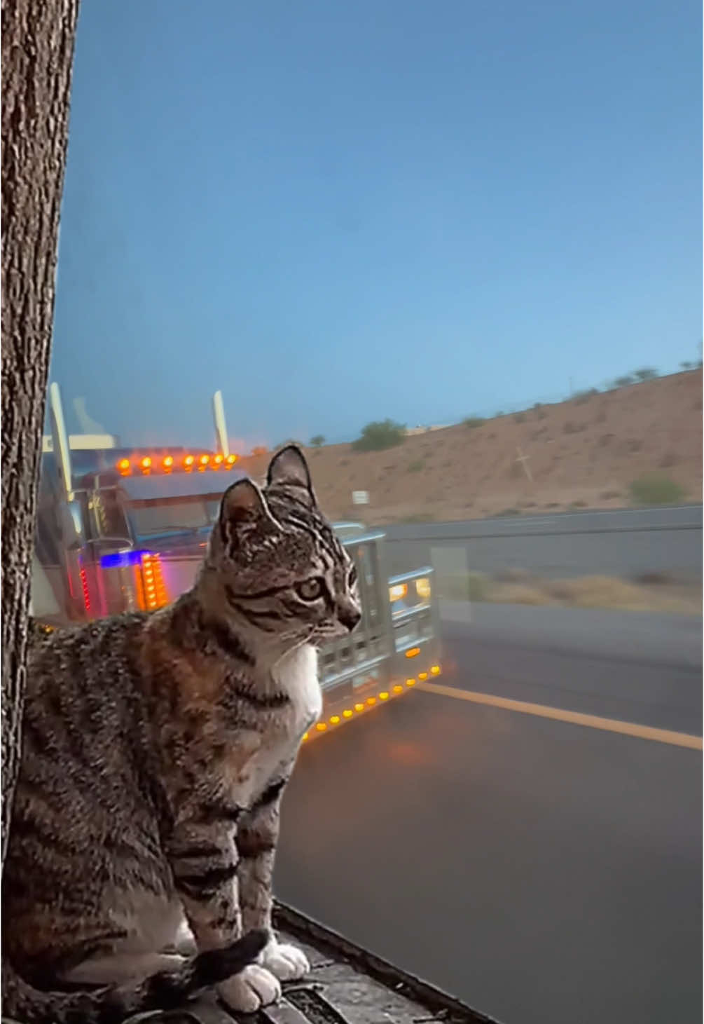 😅🚛 #MemeCut #MemeCut #MemeCut #foryoupage #paratiiiiiiiiiiiiiiiiiiiiiiiiiiiiiii #trailerosdecorazon #trailerosdelmundo #trailerosdealtorango #camionerosporelmundo #traileroenamorado♥️🤠🚛 #Meme #MemeCut 