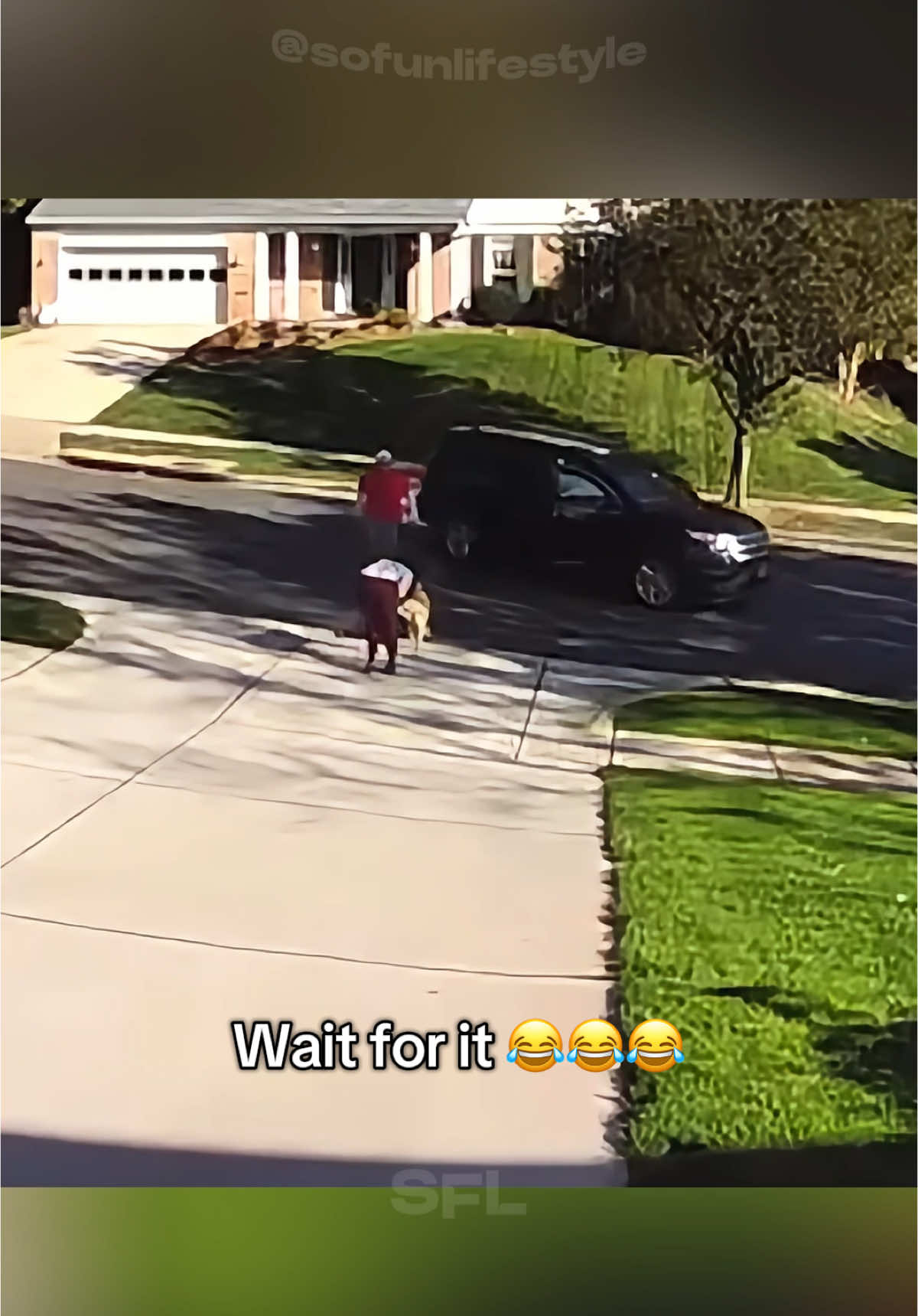 #funnymoments #laugh #funnytiktok #funnyvideoscomedy #funnypets 