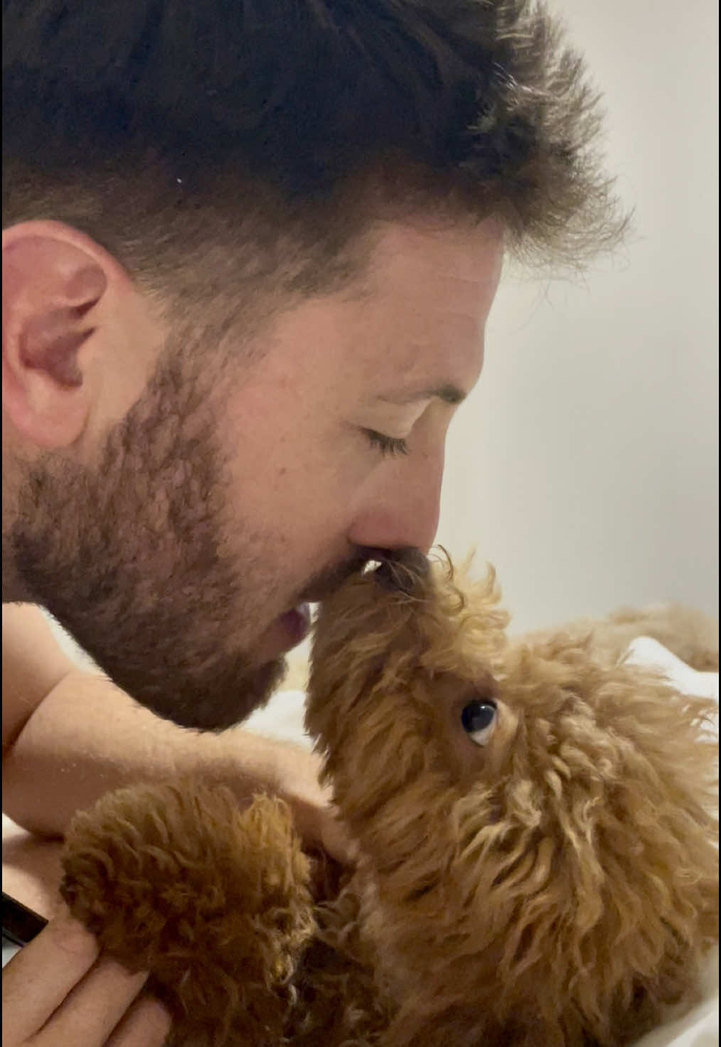 Cada vez que papá humano viene a la cama, Niki le salta encima con montones de besos y no para. ¡Pura emoción y amor!  #dog #dogs #doglover #dogshorts #pets #pet #puppy #doglife #dogvideos #puppy #dogs #dogsoftiktok #puppy #babies #Love #laughter #viralvideos #loveyou #kisses #Relationship #puppy #miraflores_lima_peru #sanisidro #arequipa #viralvideos #peru #lima #PetLove, #PetParents, #DogsOfInstagram, #CatLovers #FamilyFun, #FamilyTime, #ParentingTips, #MomLife 