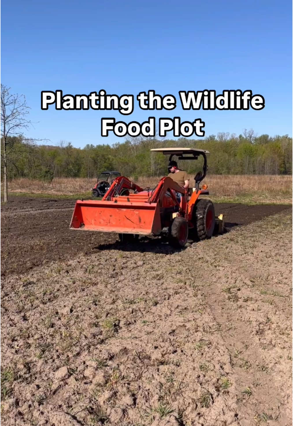 Plowing the Phragmites then rototilling and now all the planting of soybeans, sunflowers and alfalfa in the wildlife food plot. It was great weather to get all of it done before rain is here. Just wish I listened to my wife about getting some sunscreen on😅 #livingouramericandream #4wheeler #honda #tractor #kubota #foodplot #rototiller #planting #fertilizer #wildlifefoodplot #field 