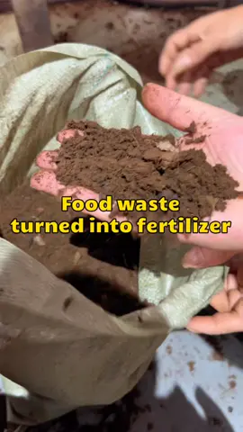Food waste is processed by our equipment and converted into organic fertilizers. #compostingmachine #compostingequipment #garbagedisposalequipment #foodwastedisposal #fertilizer 