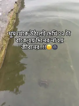 ঘুম থেকে উঠলেই দেখি ১২ টা বাজে, 