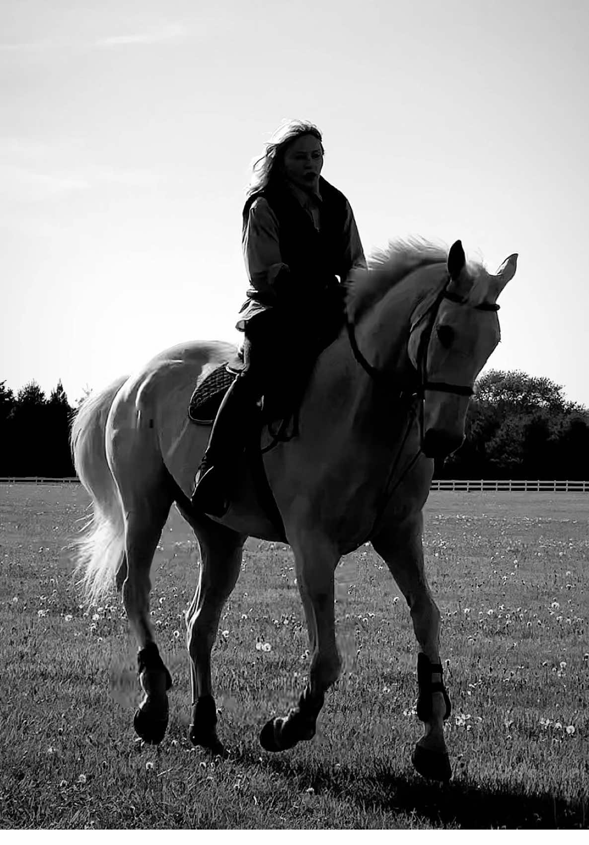 🐎 #fyp 