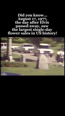Following Elvis Presley's death on August 16, 1977, the day after, August 17th, saw the largest single-day flower sales in US history. Over 3,000 flower arrangements were sent to Graceland, Memphis florists ran out of inventory, and arrangements were even shipped in from across the country. Many fans sent arrangements in unique shapes like guitars and hearts. Thousands of fans attended the funeral on August 18th, taking flowers with them.  #creatorsearchinsights #JusticeForErikAndLyle #genx #gen❌ #gen❌family #genxtiktokers #younggenx #eldermillenial #xennial #80s #80skids #90s #90steen #elvispresley #iloveelvis #graceland #memphis #CapCut 