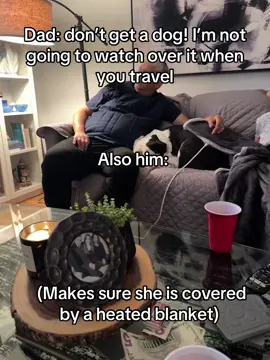 Peppa is now his emotional support dog 🐮 #emotionalsupportanimal #bulldogsoftiktok #dogs #englishbulldog #dadsoftiktok 