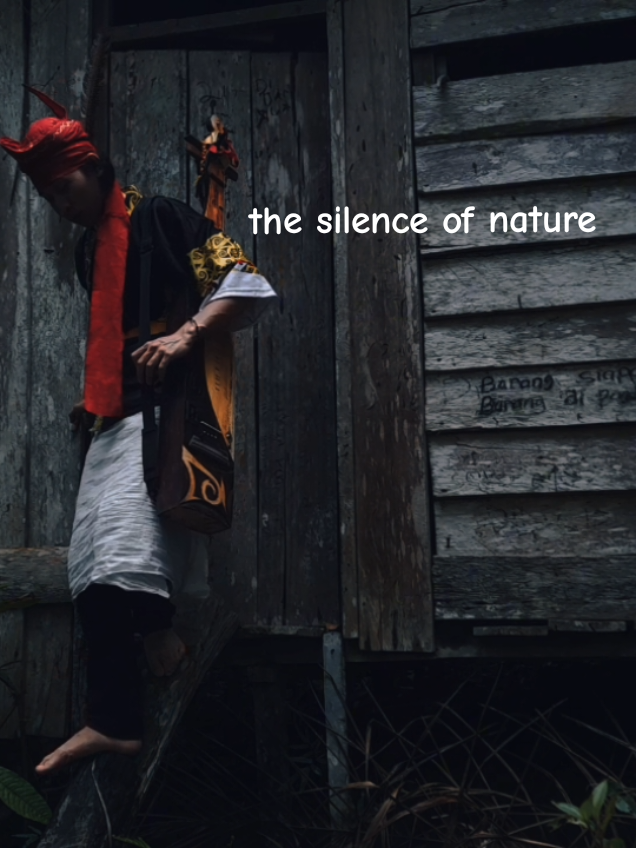 sudah rilis instrument sape the silence of nature full video cek link dibio🤗😊#alatmusiktradisional #instrument #musikvideo 