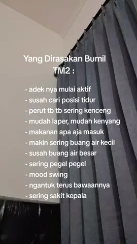 ada yang sama gak moms? #masyaallahtabarakkallah #bumilhappy #bumilsehat #bumilcantik #fyp #pregnant 
