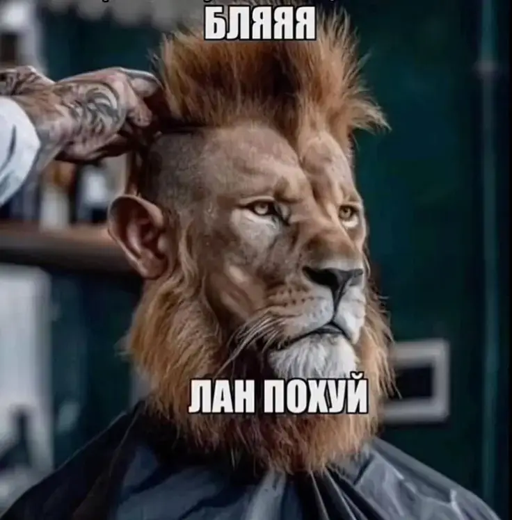 бляяя, лан похуй #смешно #юмор