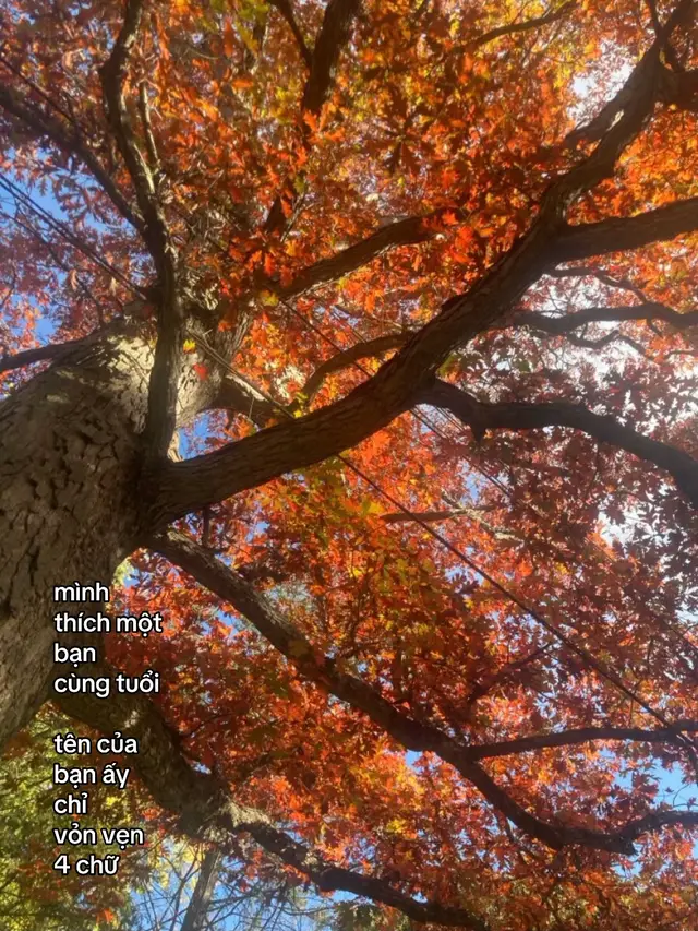 thích nhưng bh thì như lyrics.