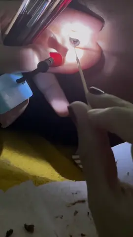 @វ៉ាន់ឌីសាឡន 