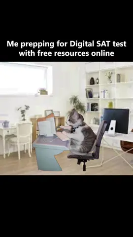Admit it. We all had one of these moments...  #digitalsat#students#exam#school#catmemes#test #memes #meme #funny #relatable #fail #practicetest Want that perfect score on the Digital SAT?   Visit: https://www.test-qube.com   Click the link below to find Test 1 for FREE and 10 additional practice tests available for purchase.   https://www.test-qube.com/buy-digital-sat-r-practice-tests Need more help preparing for your exam?   Contact: admin@test-qube.com   OR   call US (646)-656-3586/ KR (02)-537-0102  text US (646)-656-3379