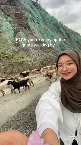 very cutesy 🐐
