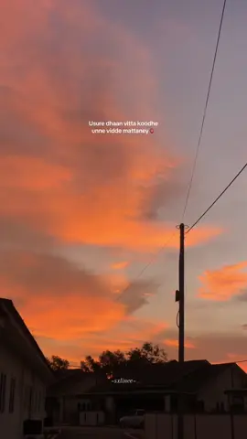 🫀🫠. #tamil #tamilsong #trending #machan #Love #tamiltiktok 