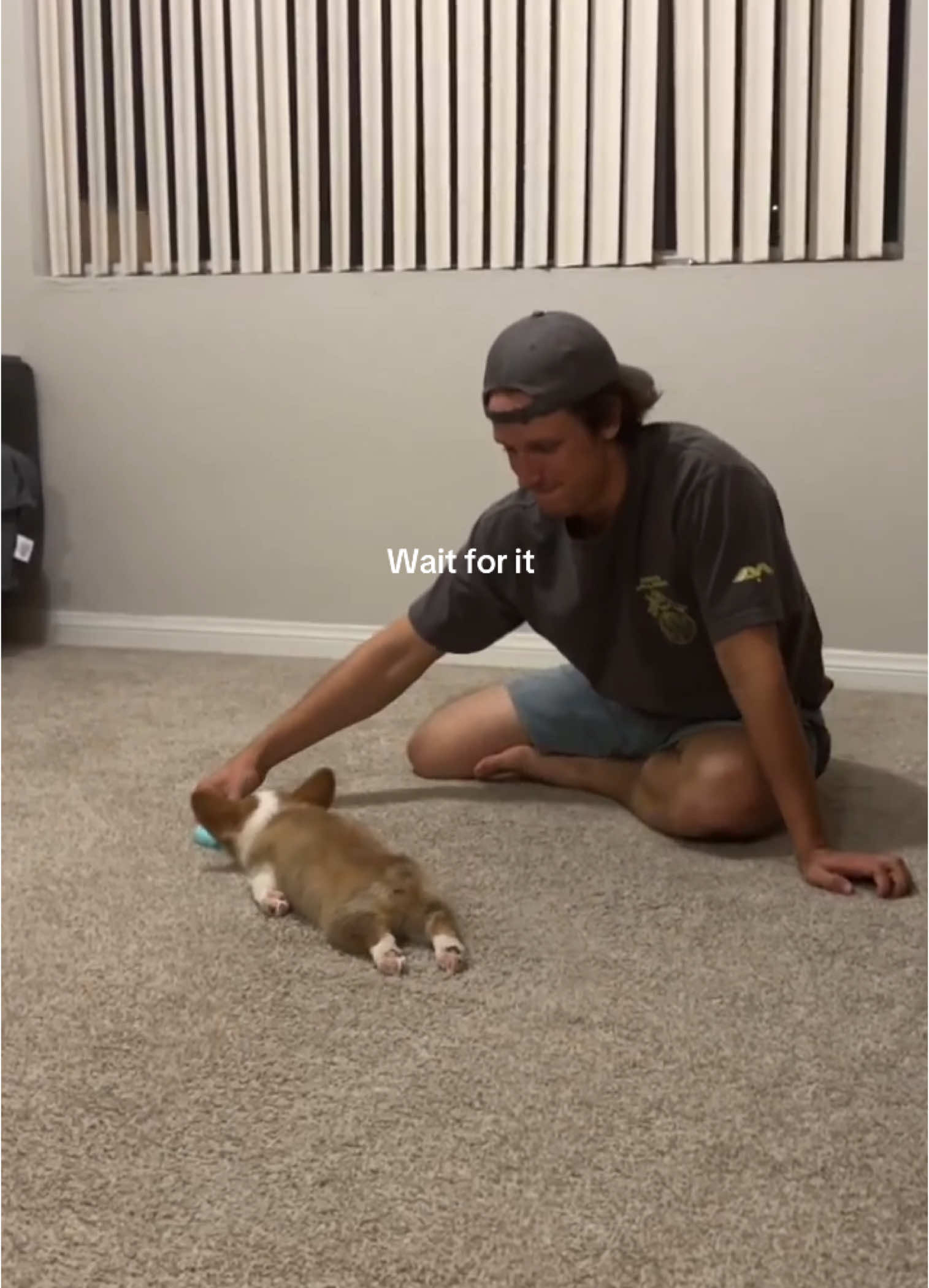 I can’t stop laughing 🥹😁❤️❤️#corgi #corgisoftiktok #corgipuppy #puppylife #puppyvideos #pup #puppy #puppylover #cuteanimals #cutedogs #cutepuppy #corgis #corgilife #corgilife #funnyvideos #funnydog #funnydogvideos 