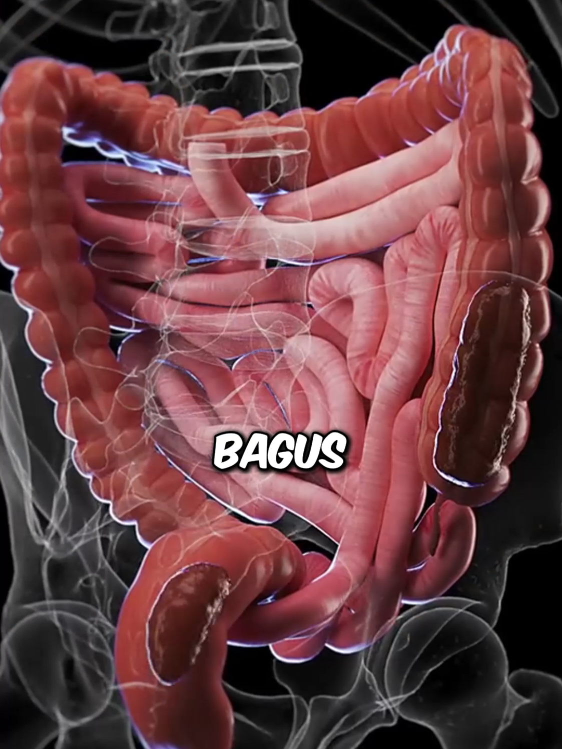 Bijak Makan, Makan Sihat #diet #health #digestion 