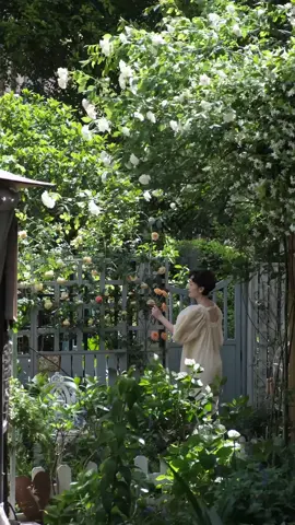 Có bao giờ… bạn thấy mình đã sống một đời rất dài, nhưng chưa từng có ngày nào thật sự thuộc về mình? Có người sống đến tận cuối đời… mà chưa từng được cất một tiếng thở dài đúng nghĩa. Vì cả đời họ đã quen với việc phải “ổn” – ổn khi đau, ổn khi mệt, ổn khi bị phản bội, và thậm chí phải mỉm cười… khi đang sụp đổ bên trong. Có người từng đứng bên linh cữu người thân, nghẹn ngào mà không rơi nổi một giọt nước mắt vì họ đã quen với việc phải “mạnh mẽ” để không ai lo. Rồi một đêm về, chỉ biết ngồi trong bóng tối, nhìn lên trần nhà và thì thầm: “Con xin lỗi, đáng lẽ hôm đó con nên nói con yêu mẹ nhiều hơn.” Điều hối tiếc nhất không phải là đã yêu sai người, chọn sai đường, hay để lỡ một cơ hội lớn. Hối tiếc lớn nhất của một đời người, là đi qua tuổi trẻ trong sự gồng gánh, đi qua tình yêu bằng sợ hãi, đi qua năm tháng chỉ để được công nhận… mà không có ngày nào thật sự để “được là mình”. Bạn có từng ngồi cạnh một người mình yêu mà không dám nắm tay họ? Từng muốn bật khóc nhưng nuốt ngược vào trong vì sợ phiền lòng ai đó? Từng cảm thấy trái tim mình khô cằn, nhưng vẫn phải mỉm cười vì con cái, vì cha mẹ, vì cuộc đời? Nếu bạn từng như vậy… Bạn đang cầm trên tay hạt mầm của sự hối tiếc – một loại nỗi đau không ai nhìn thấy, nhưng nó âm thầm gặm nhấm bạn mỗi đêm. Giờ đây, nếu bạn vẫn còn đang thở – bạn còn cơ hội. Đừng sống nốt phần đời còn lại như một cái bóng. Đừng chỉ sống cho vừa lòng người khác mà đánh mất linh hồn mình. Hãy để bản thân một lần được buông xuống, được khóc, được sai, được nghỉ ngơi. Mà là đã từng ở cạnh những người quan trọng nhất… nhưng lại không thật sự có mặt. Ta ở đó, mà hồn ta đang lo nghĩ về công việc, về tiền bạc, về một tương lai chưa tới. Ta nghe, mà không thật sự lắng nghe. Ta nhìn, mà không thấy sâu hơn đôi mắt. Và rồi, những điều thiêng liêng nhất – một cái ôm, một tiếng gọi, một lần chạm tay – đã lặng lẽ trôi qua như chưa từng. Có những người cả đời sống vì người khác, đến mức khi một mình, họ không biết mình là ai. Khi con cái lớn khôn, bạn bè xa rời, sự nghiệp lặng xuống – họ mới ngồi lặng trong căn phòng, tự hỏi: “Nếu tất cả những vai trò kia bị lấy đi… thì tôi còn lại gì?” Và câu trả lời nhiều khi là: Không gì cả. Bởi vì chính họ đã lãng quên chính mình suốt bao năm. Và được trở về làm chính mình – một cách đầy đủ và nguyên vẹn. Nếu ngày mai là ngày cuối cùng – bạn có thấy mình sống đáng không? Hay bạn sẽ gục đầu lên gối và nói: “Giá như… tôi dũng cảm hơn, sống thật hơn, yêu mình nhiều hơn!