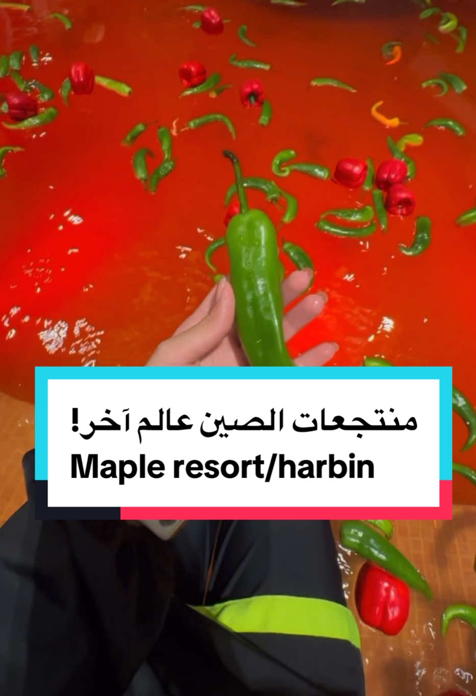 سعر تذكرة الدخول وتقعد نص يوم او يوم كامل ٧ دنانير إلى ١٤ دنانير كويتية حسب المنتزه! يا بلاش لو عندنا سوه سعر الدخول كلية على قولتكم🤣 #كوكب_الصين #فوف_بنت_بطوطة #فوف_بنت_بطوطة_الصين #الصين #سفر  #china #harbin #hotspring