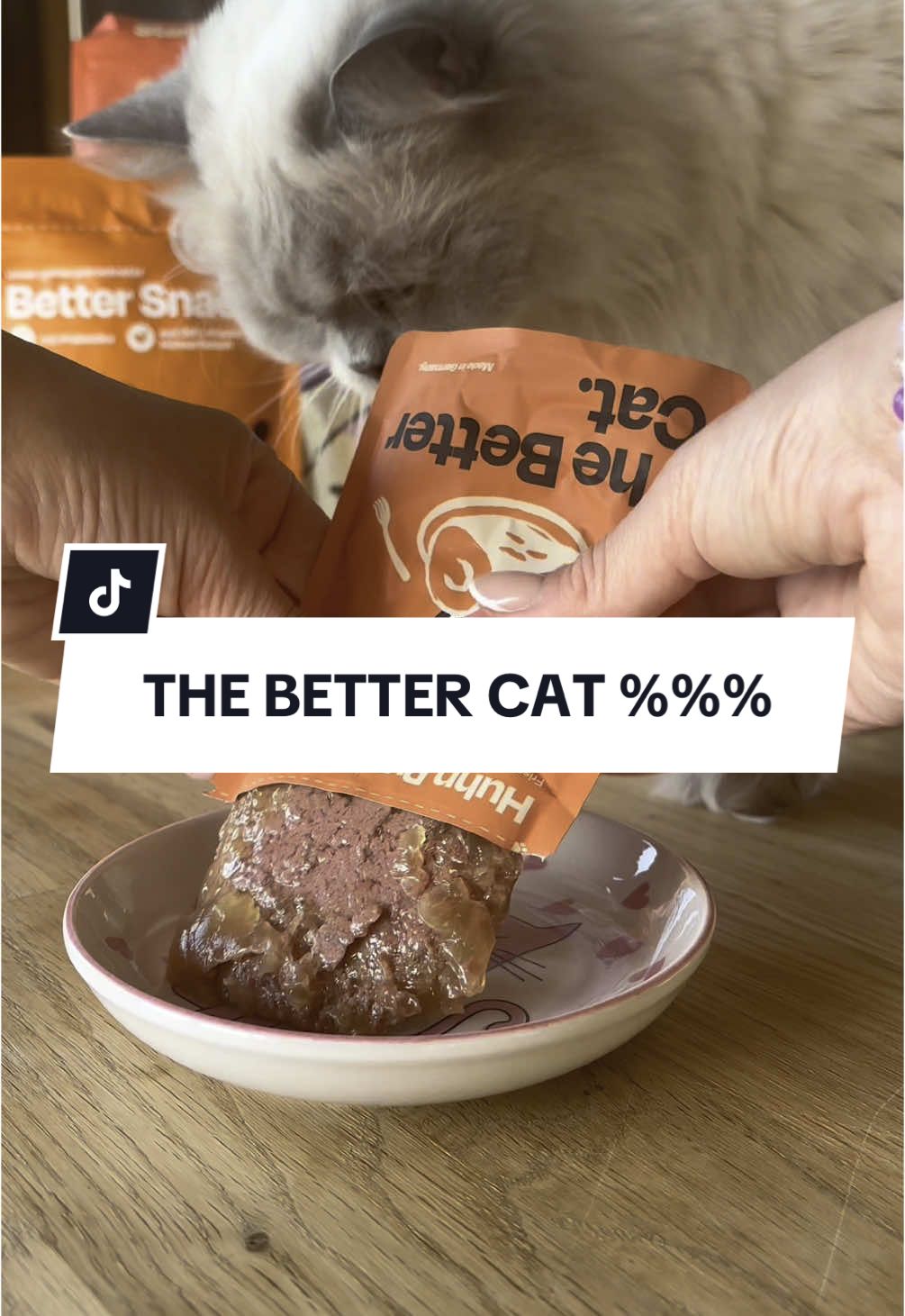 Selbst die Krümel werden inhaliert 😂🐈 Anzeige/ mit dem Code AKIRA20 spart ihr 20% bei @The Better Cat 🧡  Link in Bio  #akiraundarya #aufklärung #artgerechtehaltung #katzentipps #katzenfuttertipps #katzenfutter #katzenfuttertest #katzenfuttermarken #thebettercat #rabattcode #katzenhaltung #ragdollcats #ragdollkitten #katzenfutterhaul #guteskatzenfutter #kitten 