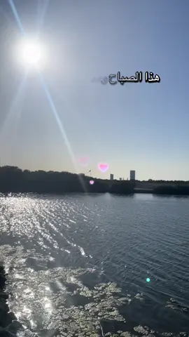 جورج قرداحي #الشعب_الصيني_ماله_حل😂😂🙋🏻‍♂️ 