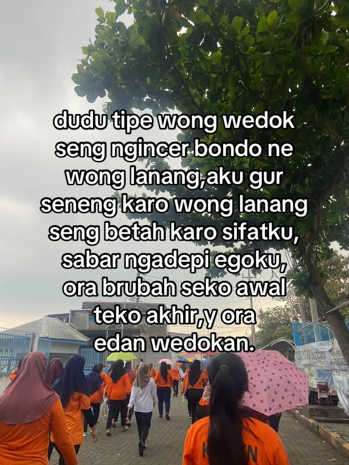 😌#fyp 