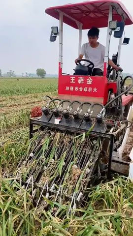 #satisfying #machine #in #action  #foryou 