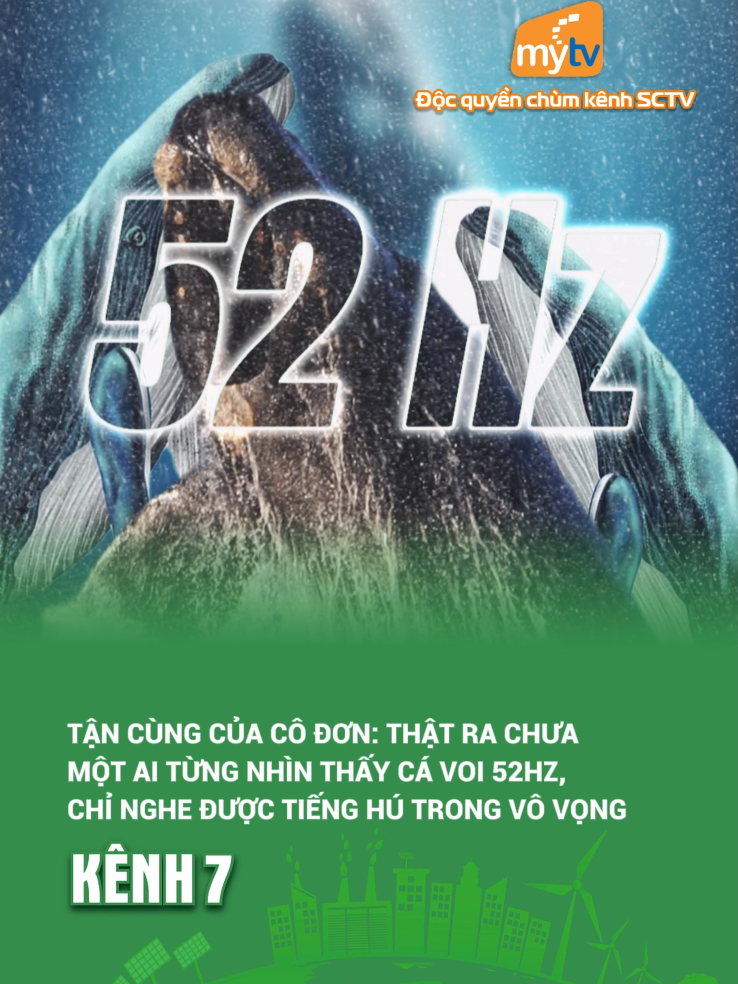 Tận cùng của cô đơn: Thật ra chưa một ai từng nhìn thấy cá voi 52Hz, chỉ nghe được tiếng hú trong vô vọng #kenh7 #kenh7green #metamultimedia #mytv #sctv #bongda7nguoi #cavoicodon #cavoi52hz #dongvat