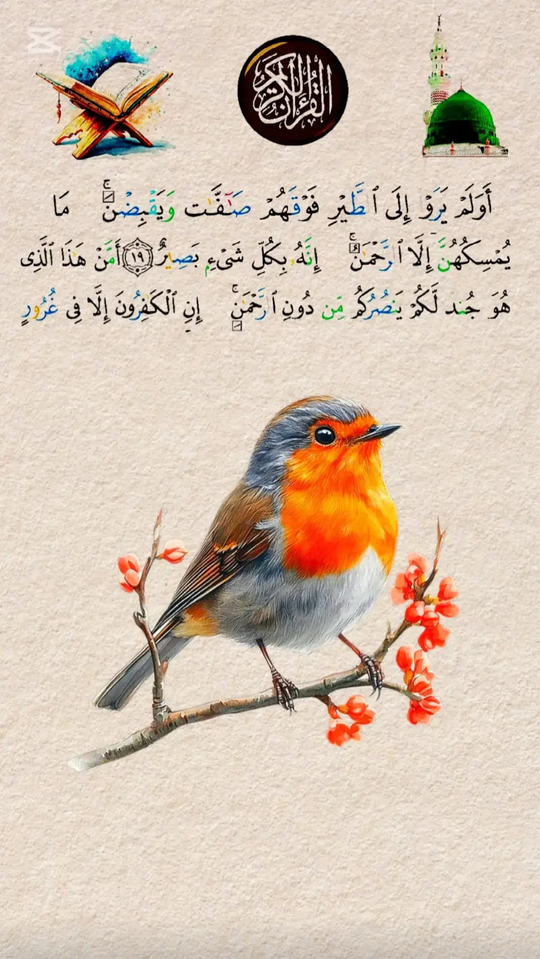 #قران_كريم #القران_الكريم 