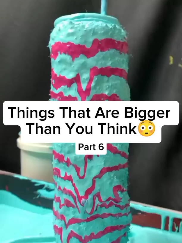 Part 6 | Things That Are Bigger Than You Think 😳 #fyp #interesting #big 