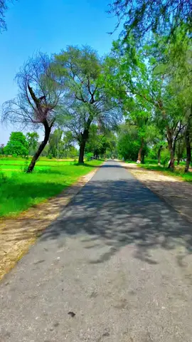 #pindawale #پنڈاں_والے #ساڈا_پنجاب🍁🥀 #foryou #viral #1millionviews 