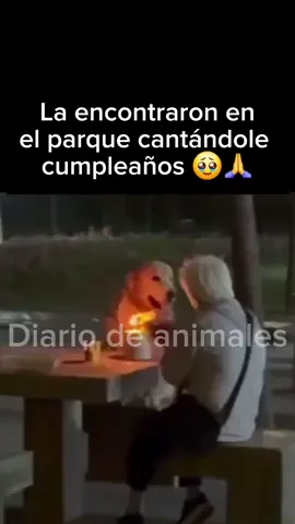 Espero que cumpla muchos años más a su lado 🥹🙏  #mascotas #animales #perros 